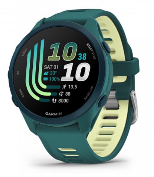 Часы Garmin Forerunner 170