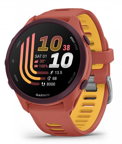 Часы Garmin Forerunner 170